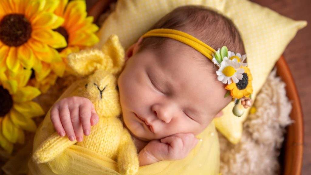 cropped 524274023 1305834794882369 835795673698679993 n